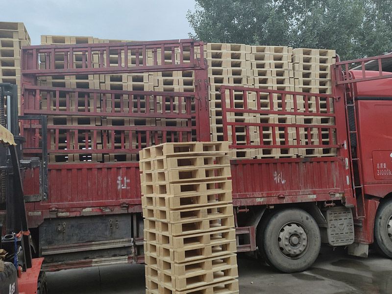 木材的相關(guān)介紹有哪些？